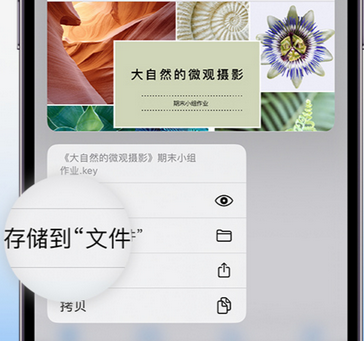 红古apple维修中心分享iPhone文件应用中存储和找到下载文件