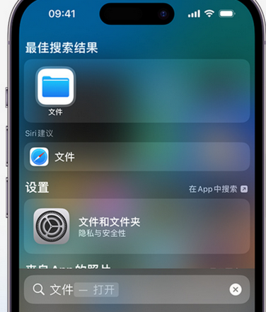 红古apple维修中心分享iPhone文件应用中存储和找到下载文件 