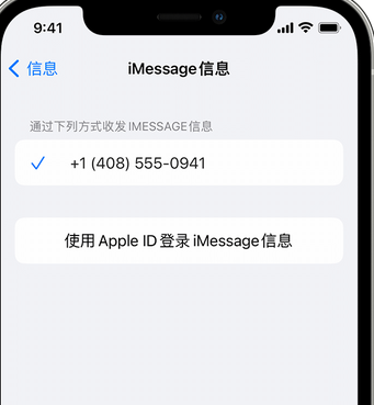 红古apple维修iPhone上无法正常发送iMessage信息 