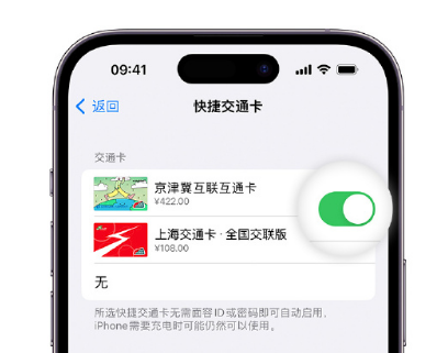 红古apple维修点分享iPhone上更换Apple Pay快捷交通卡手绘卡面 