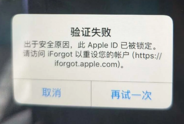 红古iPhone维修分享iPhone上正常登录或使用AppleID怎么办 