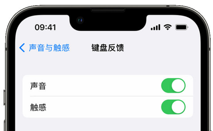 红古苹果手机维修分享iPhone 14触感键盘使用方法 