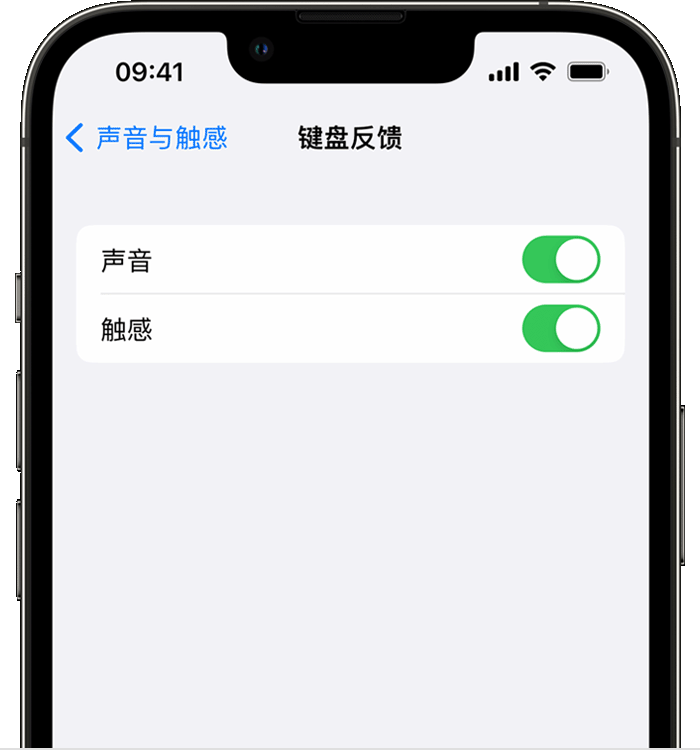 红古苹果14维修店分享如何在 iPhone 14 机型中使用触感键盘 