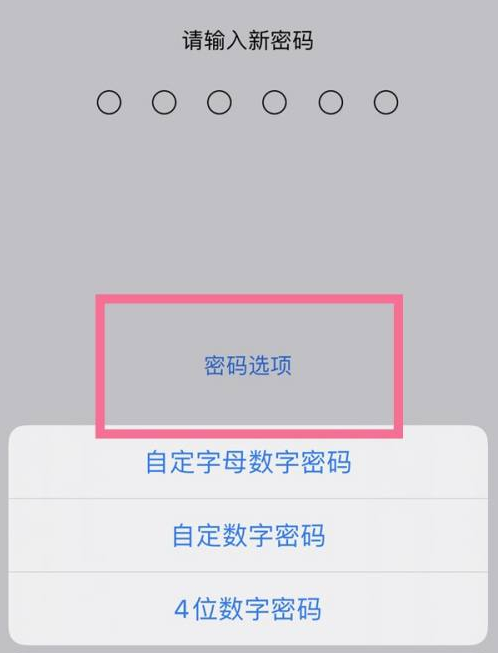 红古苹果14维修分享iPhone 14plus设置密码的方法 