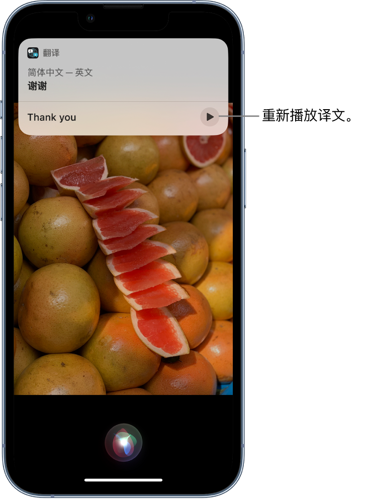 红古苹果14维修分享 iPhone 14 机型中使用 Siri：了解 Siri 能帮你做什么 