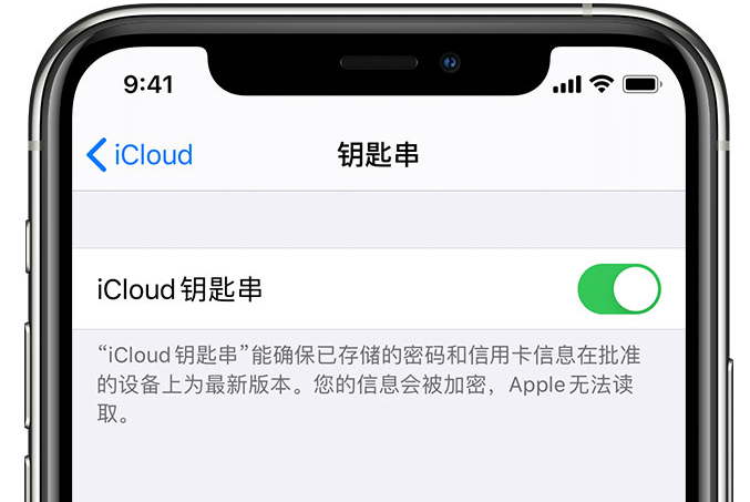 红古苹果手机维修分享在 iPhone 上开启 iCloud 钥匙串之后会储存哪些信息 