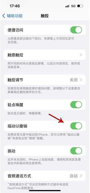 红古苹果手机维修分享iPhone手机如何设置摇一摇删除文字 